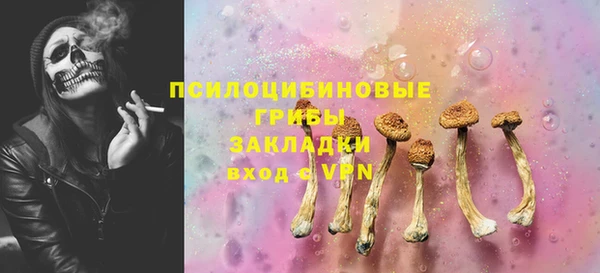 винт Касимов
