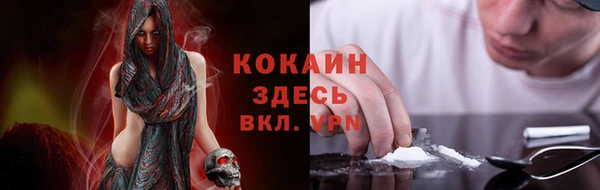винт Касимов
